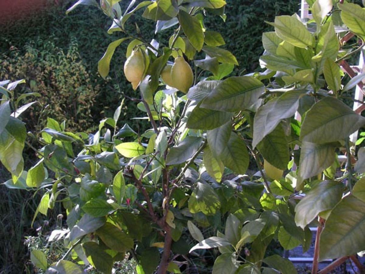 My Sweet Home Sauerlach Exterior photo
